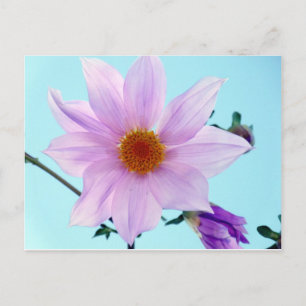 Träd Dahlia Vykort