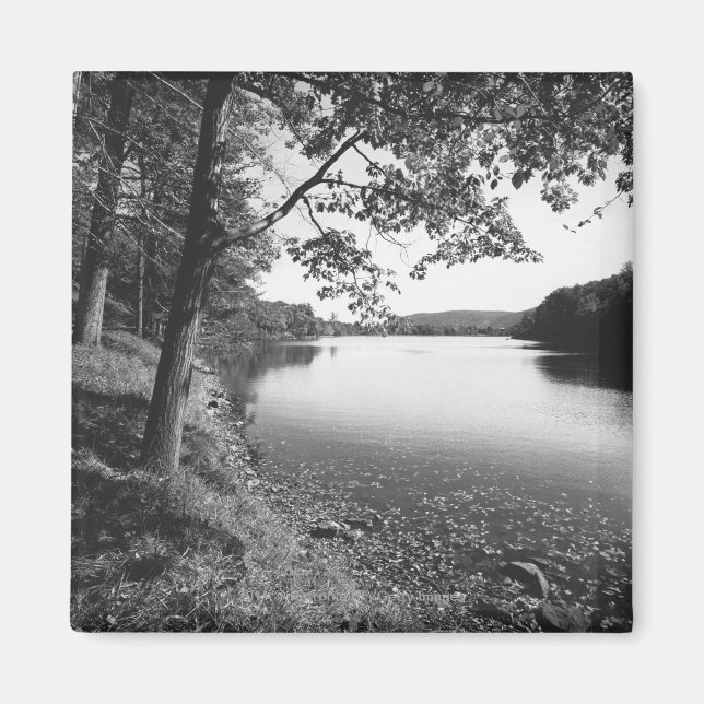 Träd efter flod B&W Magnet (Framsidan)