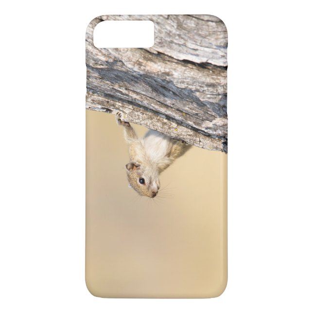 Träd ekorre Case-Mate iPhone skal (Baksida)