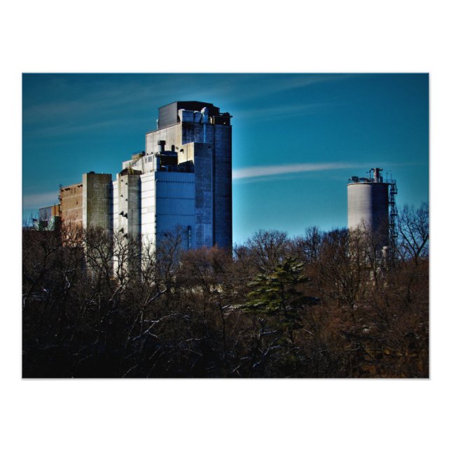 "Träd: Endast Begränsad tid" Fototryck (Framsidan)