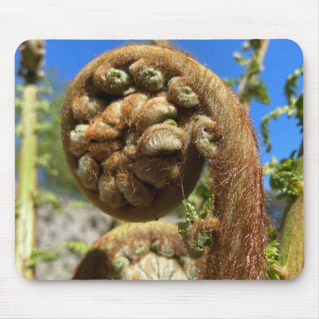 Träd Fern Frond Musmatta (Framsidan)