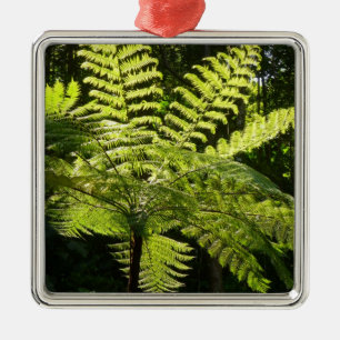 Träd Fern i regnskogen Julgransprydnad Metall