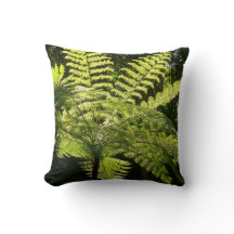 Träd Fern i regnskogen