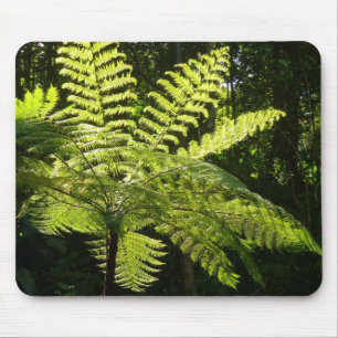 Träd Fern i regnskogen Musmatta