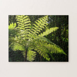 Träd Fern i regnskogen Pussel