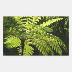 Träd Fern i regnskogen Rektangulärt Klistermärke