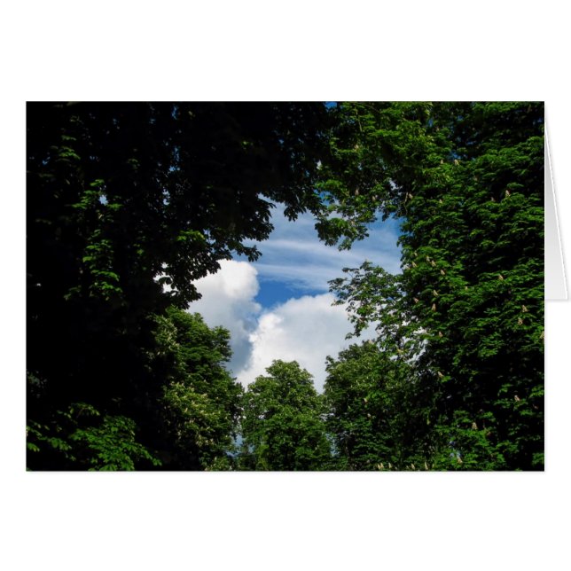 Träd-fönstret Hälsningskort (Framsidan Horizontal)