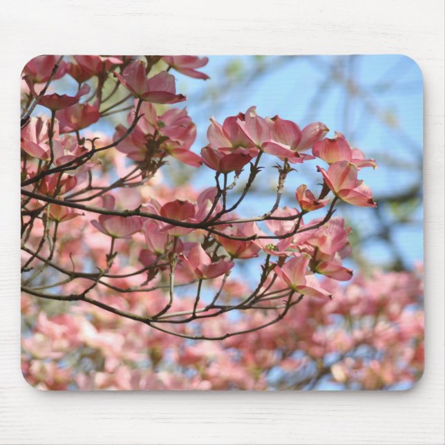 Träd för Dogwood för mousepads för vårträdblommar Musmatta (Framsidan)