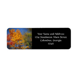 Träd för färgad höst returadress etikett