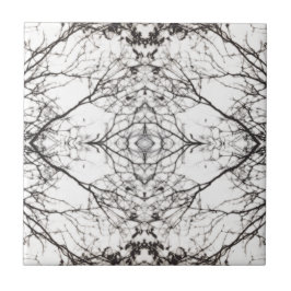 Träd för fotolekbjörk kakelplatta