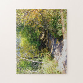 Träd för skogsmarktunnelnedgången beskådar pussel