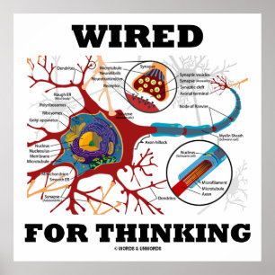 Tråd för tankning (Neuron Synapse) Poster