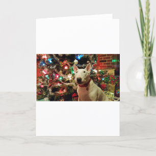 träd för tjurterrierjulklapp helgkort