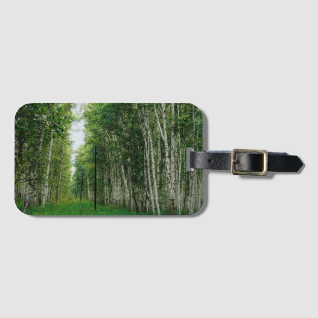 Träd Forest Art i BeSnych Birch Bagagebricka (Framsida horisontal)