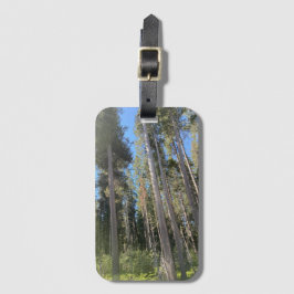 Träd Forest Nature Skogen Bagagebricka