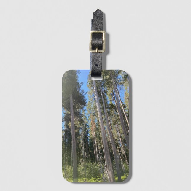 Träd Forest Nature Skogen Bagagebricka (Framsida vertikal)