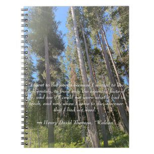 Träd Forest Skogen Thoreau Anteckningsbok