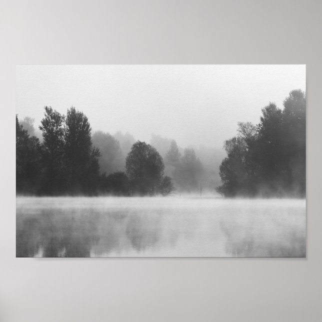 Träd försvinner i dimma ovanför sjö poster (Framsidan)