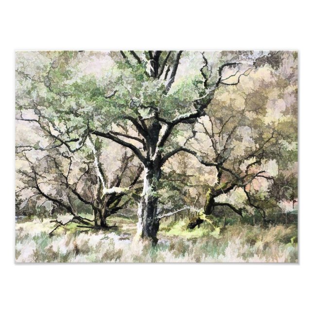 TRÄD FOTOTRYCK (Framsidan)