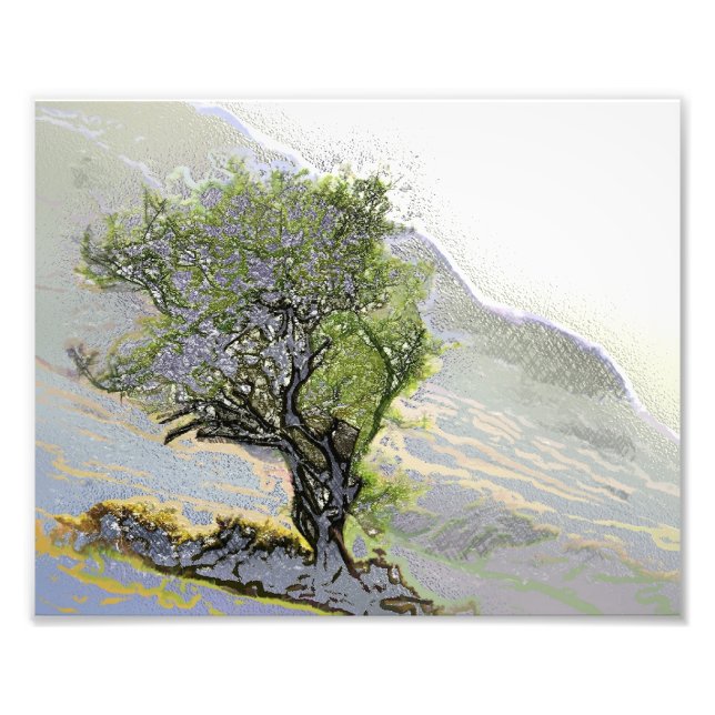 TRÄD FOTOTRYCK (Framsidan)