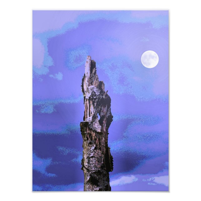 TRÄD FOTOTRYCK (Framsidan)