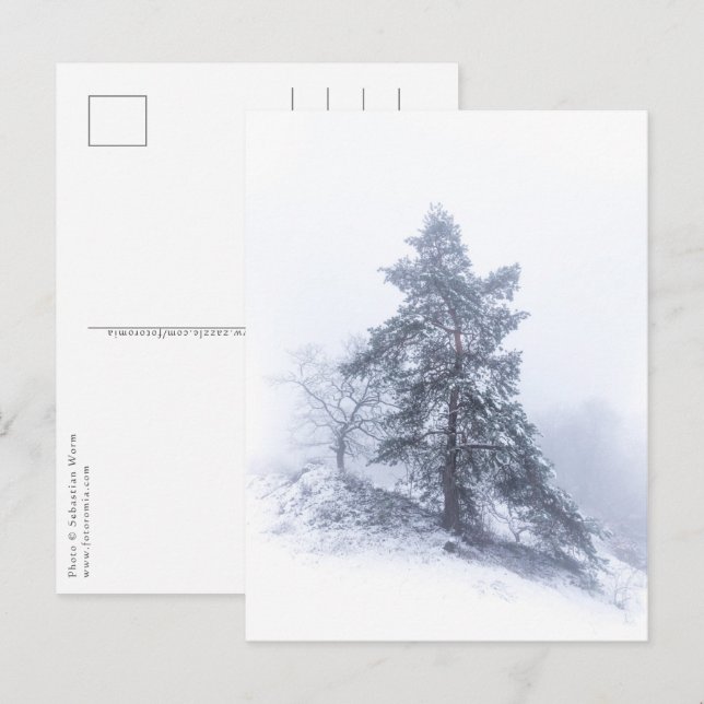 Träd-fotovykort, täckt av snö vykort (Fram/baksida)