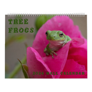 Träd Frog 14,25 x 11-väggskalender Kalender