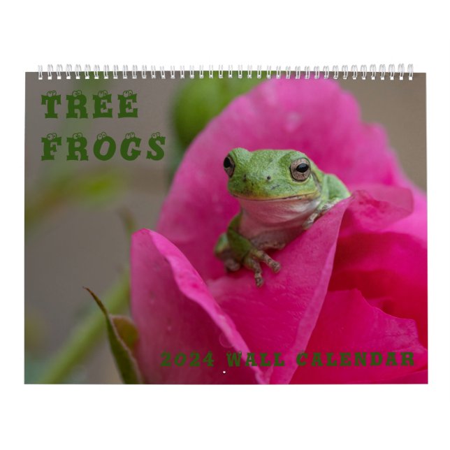 Träd Frog 14,25 x 11-väggskalender Kalender (Omslag)