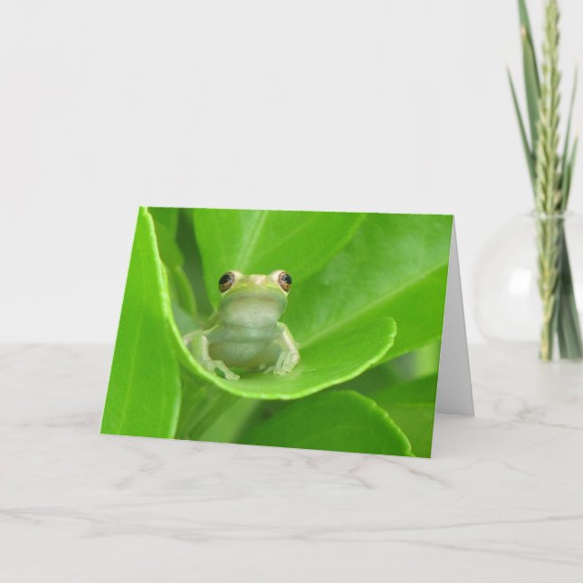 Träd Frog Birthday Card Kort (Framsida)