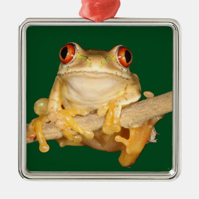 Träd Frog Julgransprydnad Metall (Framsidan)