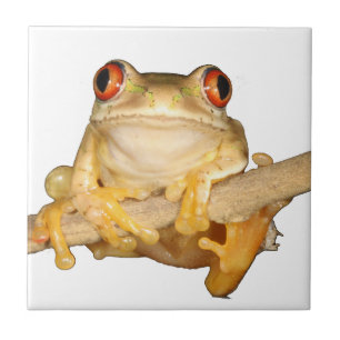Träd Frog Kakelplatta