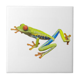 Träd Frog Kakelplatta