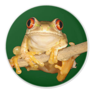 Träd Frog Knopp