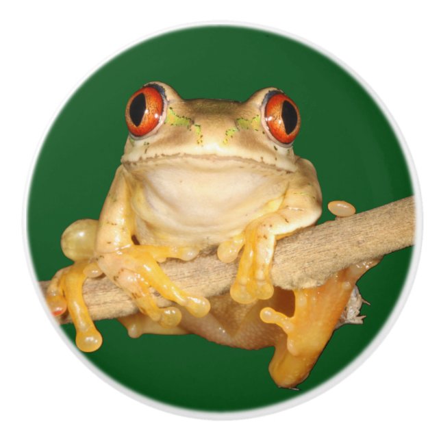 Träd Frog Knopp (Framsidan)