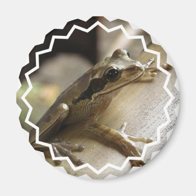 Träd Frog Magnet (Framsidan)