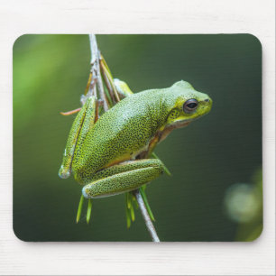 Träd Frog Musmatta
