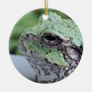 Träd Frog Ornament