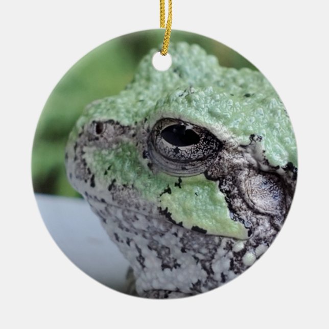 Träd Frog Ornament (Framsidan)