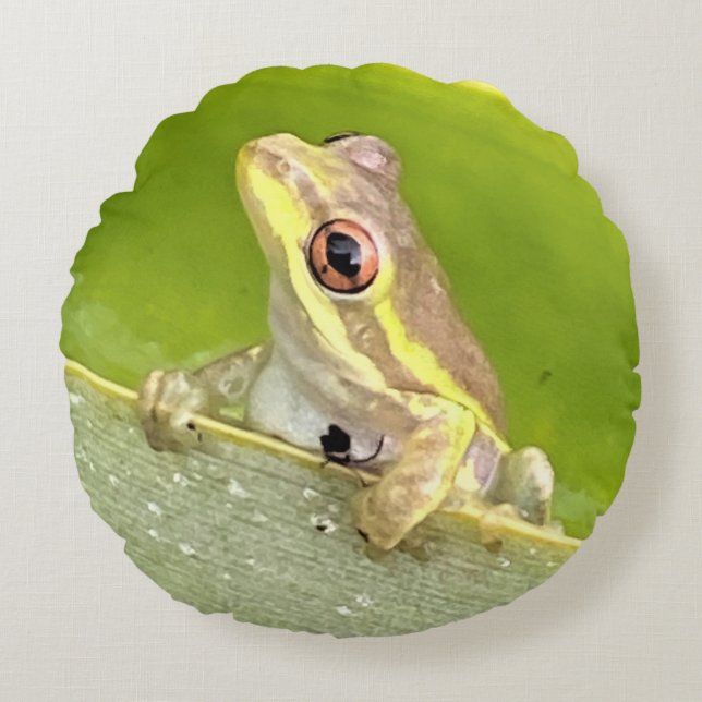 Träd Frog på ananassaplantan Dekorativ kudde (Framsidan)