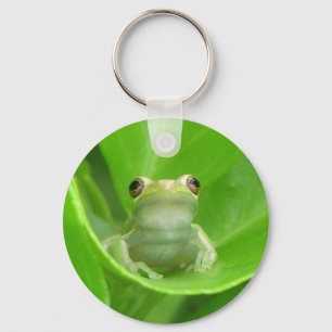Träd Frog på Blood Orange Löv - Nyckelring