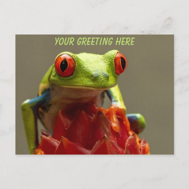 Träd Frog Personlig Vykort (Framsida)