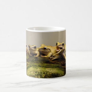 Träd Frog Polypedates leucomystax Kaffemugg