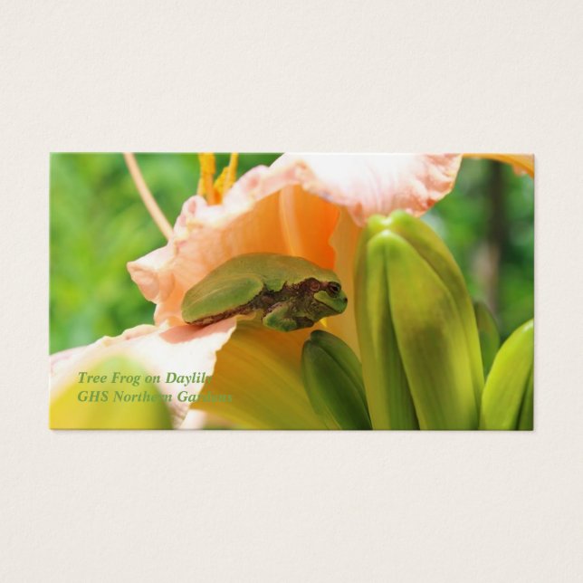 Träd Frog Rosa Lily Visitkort (Framsidan)