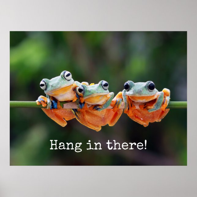 Träd Frogs Trio - Häng där Poster (Framsidan)