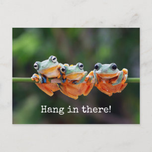 Träd Frogs Trio - Häng in där vykort