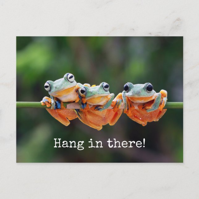 Träd Frogs Trio - Häng in där vykort (Framsida)