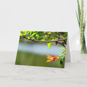 Träd Gren och Orange blomma, blank insida Kort