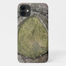 Träd Gren Stub nära