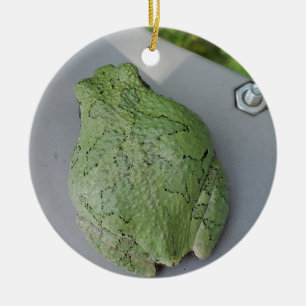 Träd groda julgransprydnad keramik