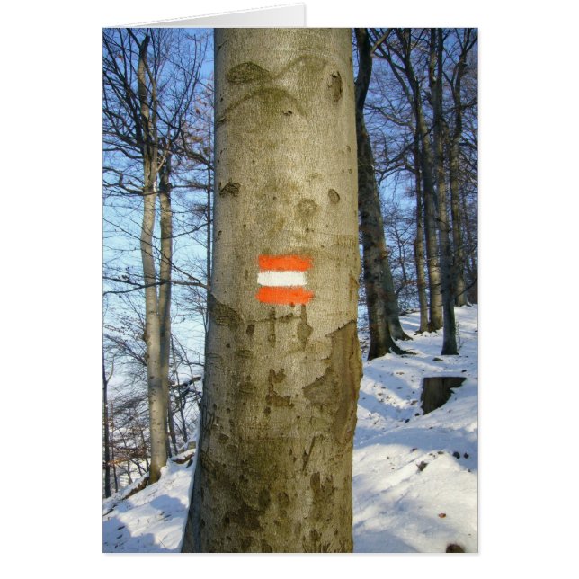 träd hälsningskort (Framsidan)